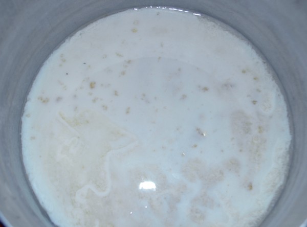 Молочно-желатиновая смесь для панакотты с клубничным соусом